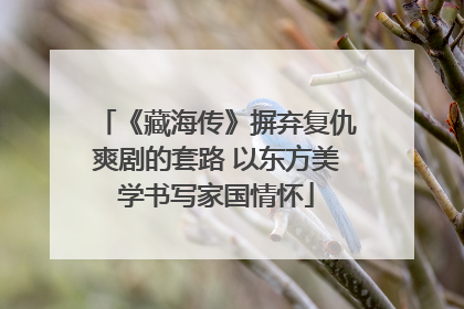 《藏海传》摒弃复仇爽剧的套路 以东方美学书写家国情怀