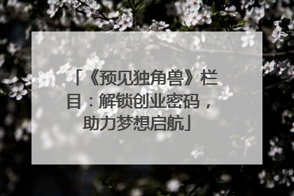 《预见独角兽》栏目：解锁创业密码，助力梦想启航
