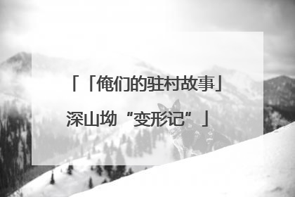 「俺们的驻村故事」深山坳“变形记”