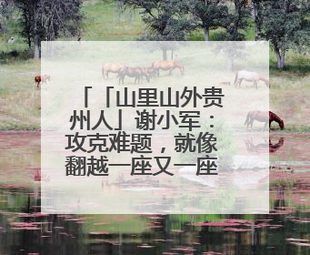 「山里山外贵州人」谢小军：攻克难题，就像翻越一座又一座的大山