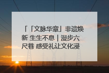 「文脉华章」非遗焕新 生生不息｜漫步六尺巷 感受礼让文化浸润的“巷”往生活