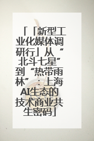 「新型工业化媒体调研行」从“北斗七星”到“热带雨林”：上海AI生态的技术商业共生密码
