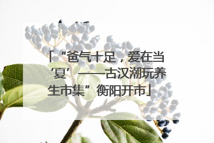 “爸气十足，爱在当‘夏’——古汉潮玩养生市集”衡阳开市