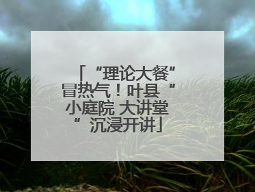“理论大餐”冒热气！叶县“小庭院 大讲堂”沉浸开讲
