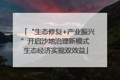 “生态修复+产业振兴”开启沙地治理新模式 生态经济实现双效益