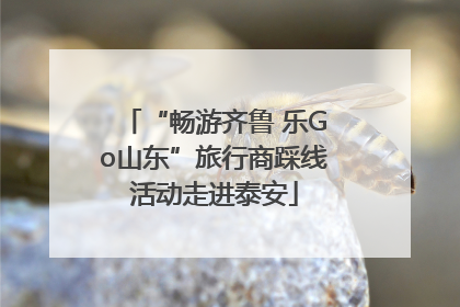 “畅游齐鲁 乐Go山东”旅行商踩线活动走进泰安