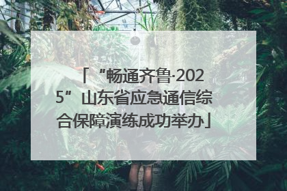 “畅通齐鲁·2025”山东省应急通信综合保障演练成功举办