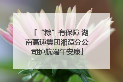 “粽”有保障 湖南高速集团湘潭分公司护航端午安康