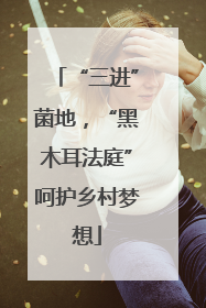“三进”菌地，“黑木耳法庭”呵护乡村梦想