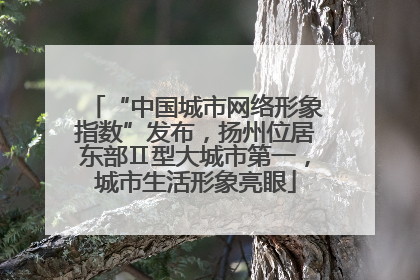 “中国城市网络形象指数”发布，扬州位居东部Ⅱ型大城市第一，城市生活形象亮眼