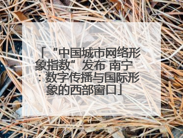 “中国城市网络形象指数”发布 南宁：数字传播与国际形象的西部窗口
