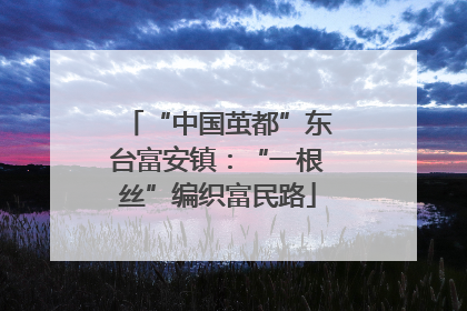 “中国茧都”东台富安镇：“一根丝”编织富民路
