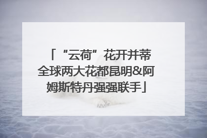 “云荷”花开并蒂 全球两大花都昆明&阿姆斯特丹强强联手