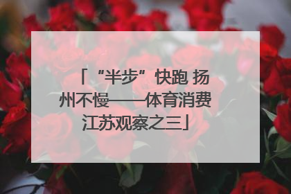 “半步”快跑 扬州不慢——体育消费江苏观察之三
