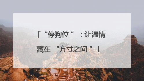 “停狗位 ”：让温情藏在 “方寸之间 ”