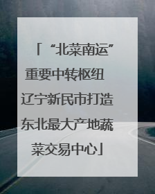 “北菜南运”重要中转枢纽 辽宁新民市打造东北最大产地蔬菜交易中心