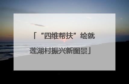 “四维帮扶”绘就莲湖村振兴新图景
