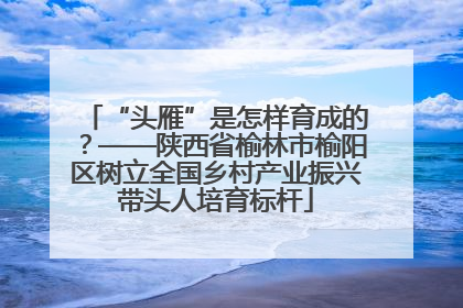 “头雁”是怎样育成的？——陕西省榆林市榆阳区树立全国乡村产业振兴带头人培育标杆