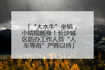 “大水牛”坐镇，小撬棍随身！长沙城区防办工作人员“人车等雨”严阵以待