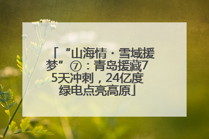 “山海情・雪域援梦”⑦：青岛援藏75天冲刺，24亿度绿电点亮高原