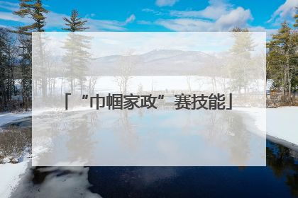 “巾帼家政”赛技能