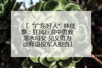 “广东好人”林佳泰：狂风巨浪中勇救落水母女 见义勇为诠释退役军人担当