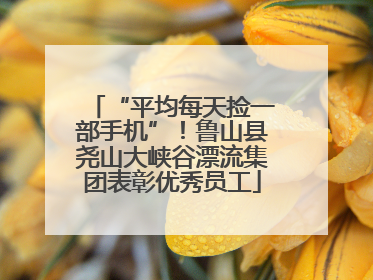 “平均每天捡一部手机”！鲁山县尧山大峡谷漂流集团表彰优秀员工