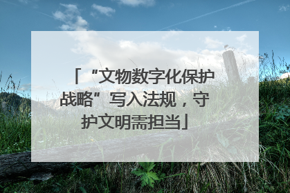 “文物数字化保护战略”写入法规，守护文明需担当