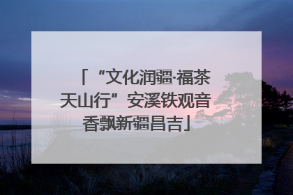 “文化润疆·福茶天山行”安溪铁观音香飘新疆昌吉