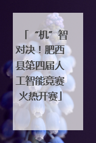 “机”智对决！肥西县第四届人工智能竞赛火热开赛