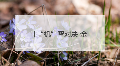 “机”智对决 金华机器人大赛“点燃”青少年科技梦