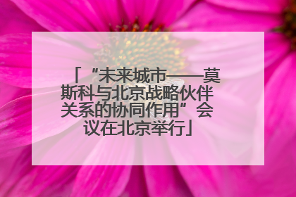“未来城市——莫斯科与北京战略伙伴关系的协同作用”会议在北京举行
