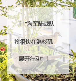 “海军陆战队将很快在洛杉矶展开行动”