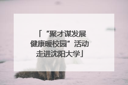 “聚才谋发展 健康暖校园”活动走进沈阳大学