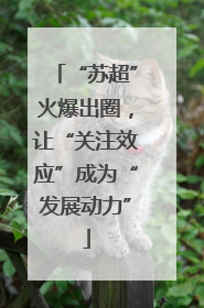 “苏超”火爆出圈，让“关注效应”成为“发展动力”