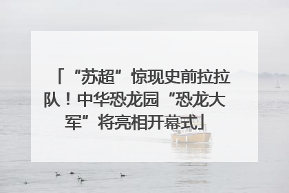 “苏超”惊现史前拉拉队！中华恐龙园“恐龙大军”将亮相开幕式