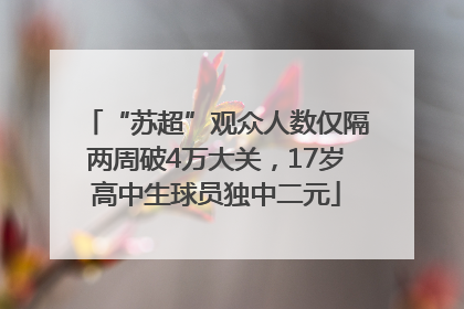“苏超”观众人数仅隔两周破4万大关，17岁高中生球员独中二元
