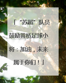 “苏超”队员鼓励黄桥足球小将：加油，未来属于你们！