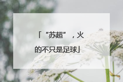 “苏超”，火的不只是足球