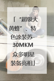 “超级大黄蜂”、特色涂装苏-30MKM 众多明星装备亮相