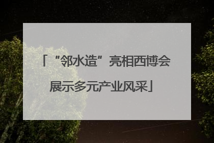 “邻水造”亮相西博会 展示多元产业风采