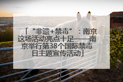 “非遗+禁毒”：南京这场活动亮点十足——南京举行第38个国际禁毒日主题宣传活动