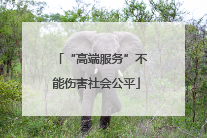 “高端服务”不能伤害社会公平