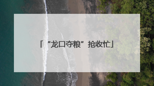 “龙口夺粮”抢收忙