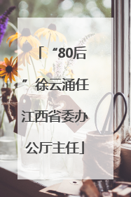 “80后”徐云涌任江西省委办公厅主任