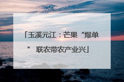 玉溪元江：芒果“爆单” 联农带农产业兴