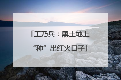 王乃兵：黑土地上“种”出红火日子