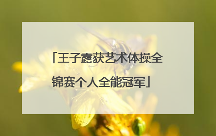 王子露获艺术体操全锦赛个人全能冠军
