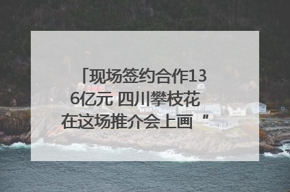 现场签约合作136亿元 四川攀枝花在这场推介会上画“图谱”列“清单”