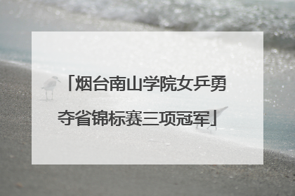 烟台南山学院女乒勇夺省锦标赛三项冠军